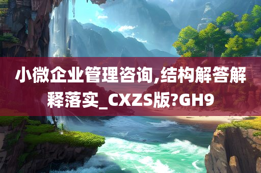 小微企业管理咨询,结构解答解释落实_CXZS版?GH9