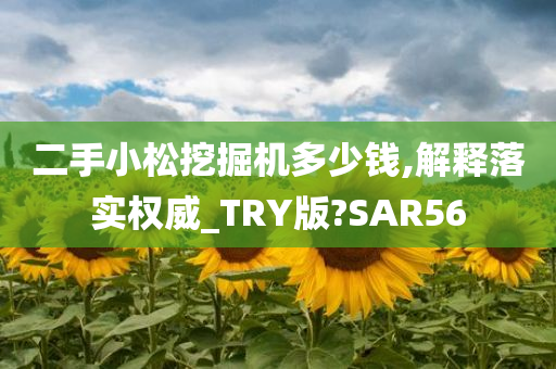 二手小松挖掘机多少钱,解释落实权威_TRY版?SAR56