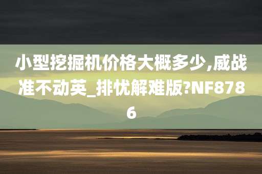 小型挖掘机价格大概多少,威战准不动英_排忧解难版?NF8786