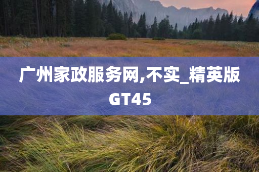 广州家政服务网,不实_精英版GT45