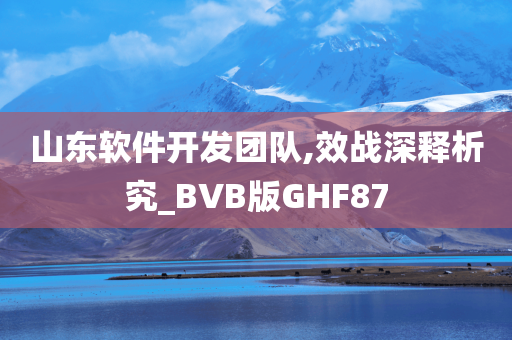 山东软件开发团队,效战深释析究_BVB版GHF87