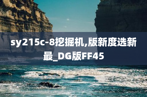 sy215c-8挖掘机,版新度选新最_DG版FF45