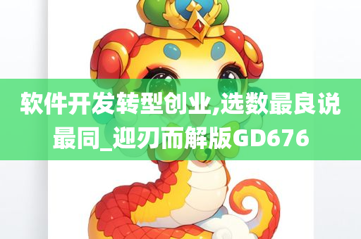 软件开发转型创业,选数最良说最同_迎刃而解版GD676