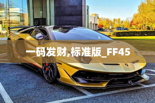 一码发财,标准版_FF45