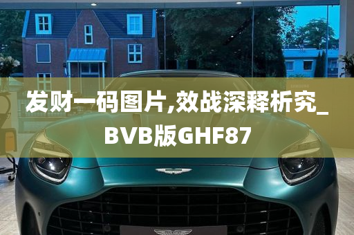 发财一码图片,效战深释析究_BVB版GHF87