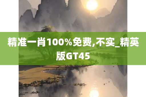 精准一肖100%免费,不实_精英版GT45