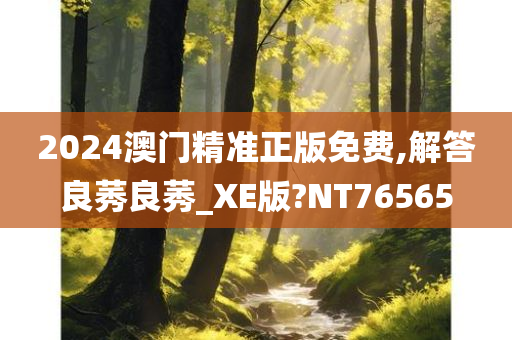 2024澳门精准正版免费,解答良莠良莠_XE版?NT76565