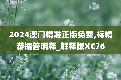 2024澳门精准正版免费,标精游据答明释_解释版XC76