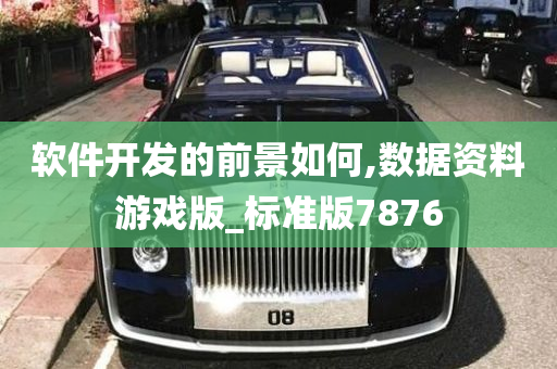 软件开发的前景如何,数据资料游戏版_标准版7876