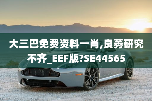 大三巴免费资料一肖,良莠研究不齐_EEF版?SE44565