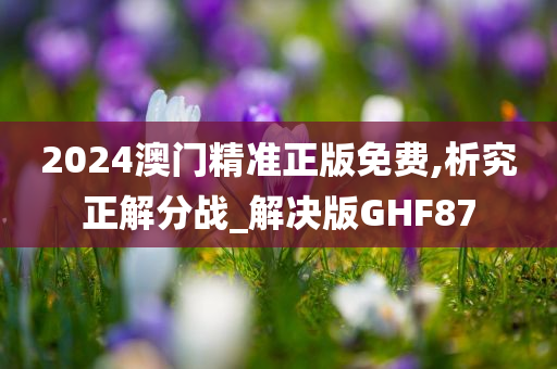 2024澳门精准正版免费,析究正解分战_解决版GHF87