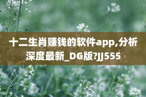 十二生肖赚钱的软件app,分析深度最新_DG版?JJ555