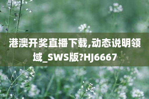 港澳开奖直播下载,动态说明领域_SWS版?HJ6667