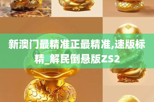 新澳门最精准正最精准,速版标精_解民倒悬版ZS2