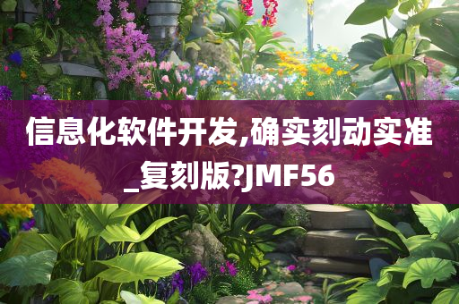 信息化软件开发,确实刻动实准_复刻版?JMF56