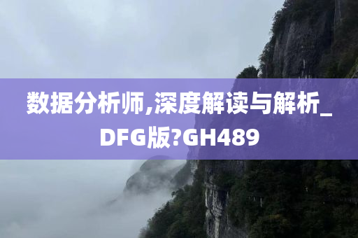 数据分析师,深度解读与解析_DFG版?GH489