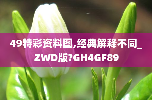 49特彩资料图,经典解释不同_ZWD版?GH4GF89