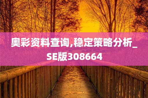 奥彩资料查询,稳定策略分析_SE版308664