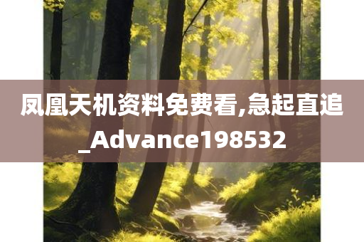 凤凰天机资料免费看,急起直追_Advance198532