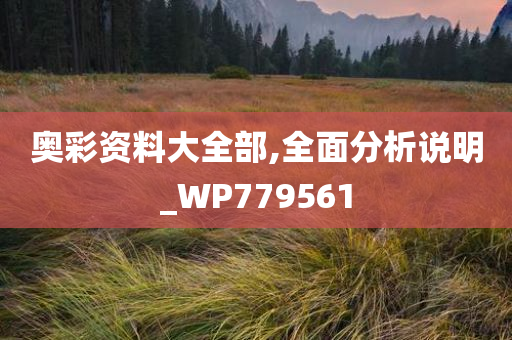 奥彩资料大全部,全面分析说明_WP779561