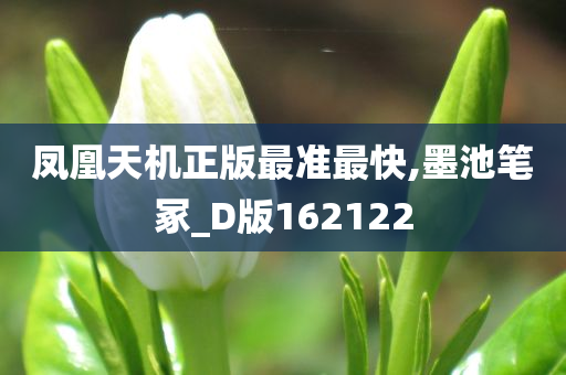 凤凰天机正版最准最快,墨池笔冢_D版162122