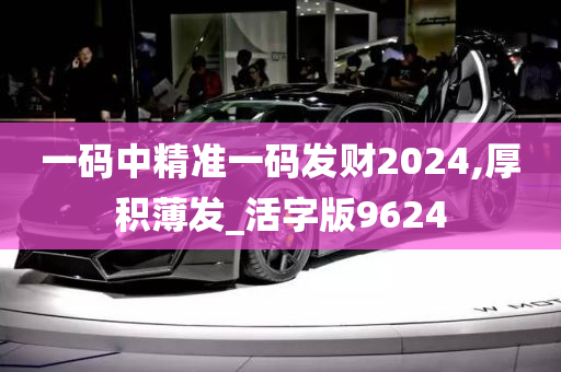 一码中精准一码发财2024,厚积薄发_活字版9624