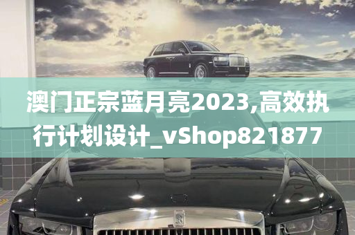 澳门正宗蓝月亮2023,高效执行计划设计_vShop821877