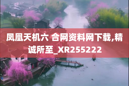 凤凰天机六 合网资料网下载,精诚所至_XR255222