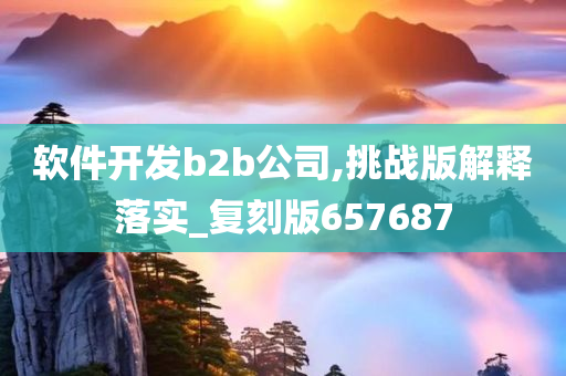 软件开发b2b公司,挑战版解释落实_复刻版657687