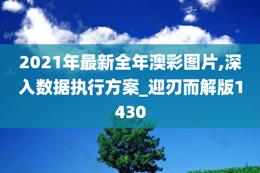 2021年最新全年澳彩图片,深入数据执行方案_迎刃而解版1430