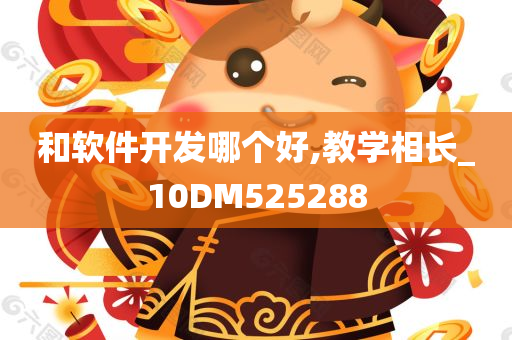 和软件开发哪个好,教学相长_10DM525288