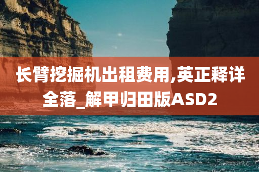 长臂挖掘机出租费用,英正释详全落_解甲归田版ASD2