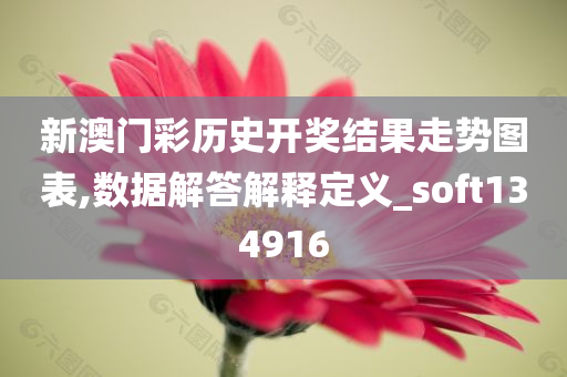 新澳门彩历史开奖结果走势图表,数据解答解释定义_soft134916