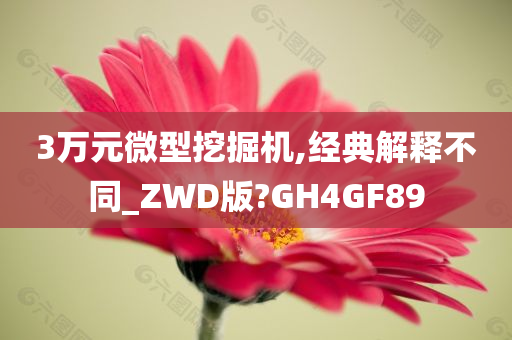 3万元微型挖掘机,经典解释不同_ZWD版?GH4GF89