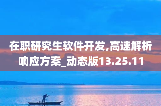 在职研究生软件开发,高速解析响应方案_动态版13.25.11