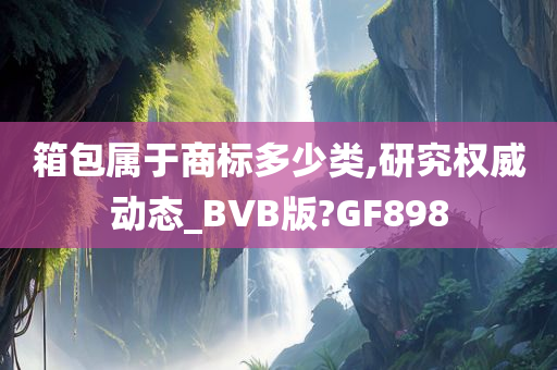 箱包属于商标多少类,研究权威动态_BVB版?GF898