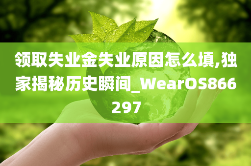 领取失业金失业原因怎么填,独家揭秘历史瞬间_WearOS866297