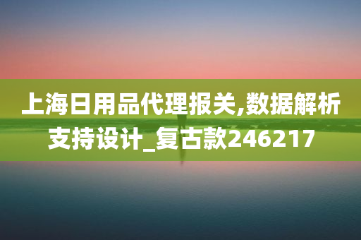 上海日用品代理报关,数据解析支持设计_复古款246217