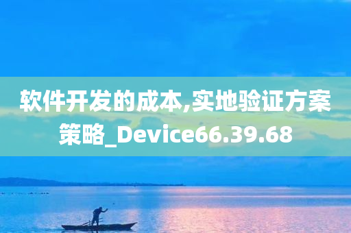 软件开发的成本,实地验证方案策略_Device66.39.68