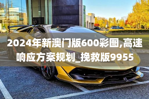 2024年新澳门版600彩图,高速响应方案规划_挽救版9955