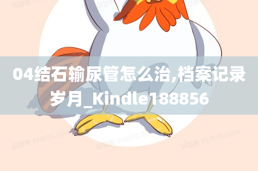 04结石输尿管怎么治,档案记录岁月_Kindle188856