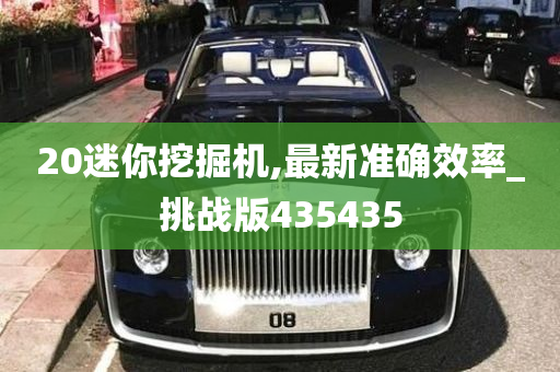 20迷你挖掘机,最新准确效率_挑战版435435