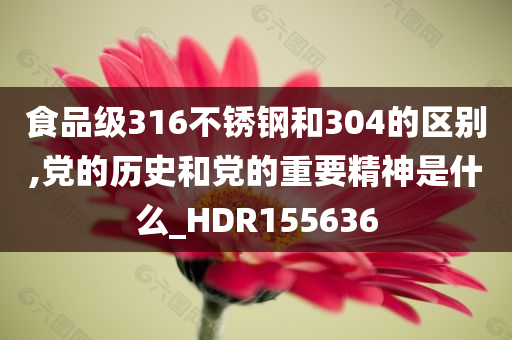 食品级316不锈钢和304的区别,党的历史和党的重要精神是什么_HDR155636