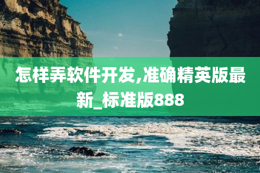 怎样弄软件开发,准确精英版最新_标准版888