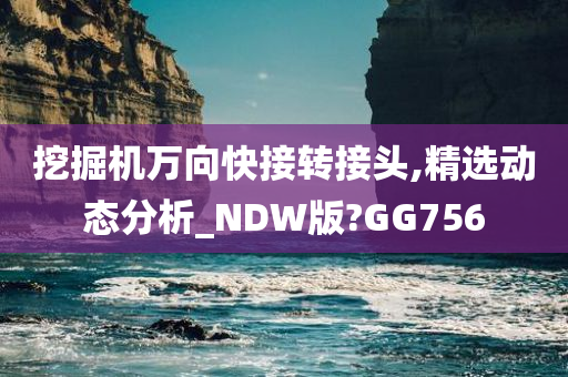 挖掘机万向快接转接头,精选动态分析_NDW版?GG756