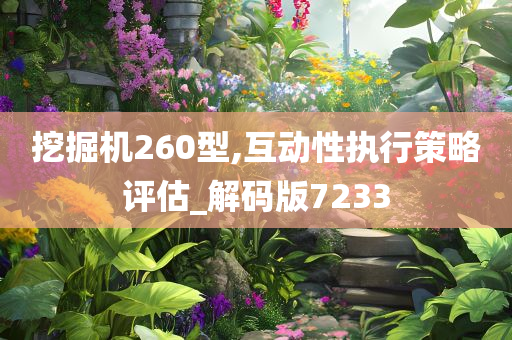 挖掘机260型,互动性执行策略评估_解码版7233