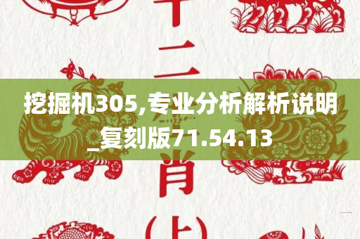 挖掘机305,专业分析解析说明_复刻版71.54.13