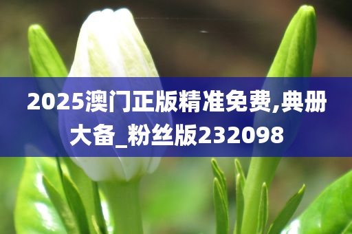 2025澳门正版精准免费,典册大备_粉丝版232098