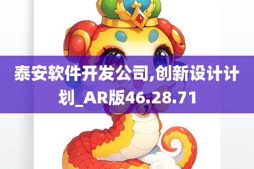 泰安软件开发公司,创新设计计划_AR版46.28.71