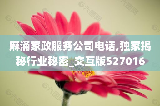 麻涌家政服务公司电话,独家揭秘行业秘密_交互版527016